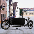 cargo bike electric bicycle cargo ebike with suspension